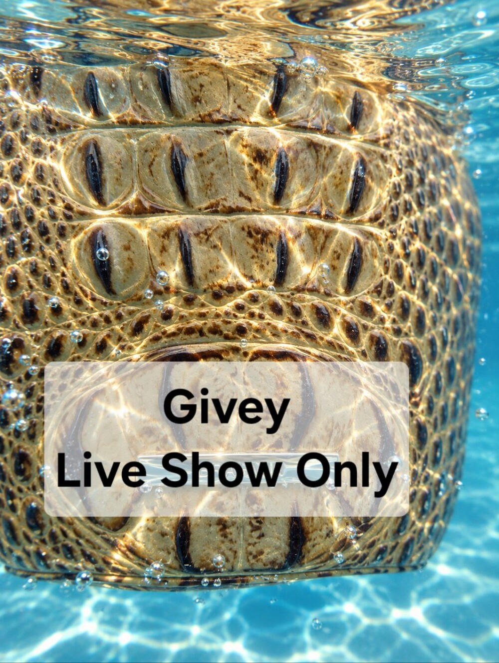Live Show Only